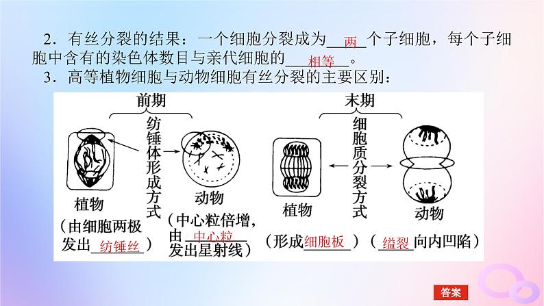 2024版新教材高考生物全程一轮总复习第四单元细胞的生命历程课堂互动探究案1细胞周期和细胞的有丝分裂课件第8页