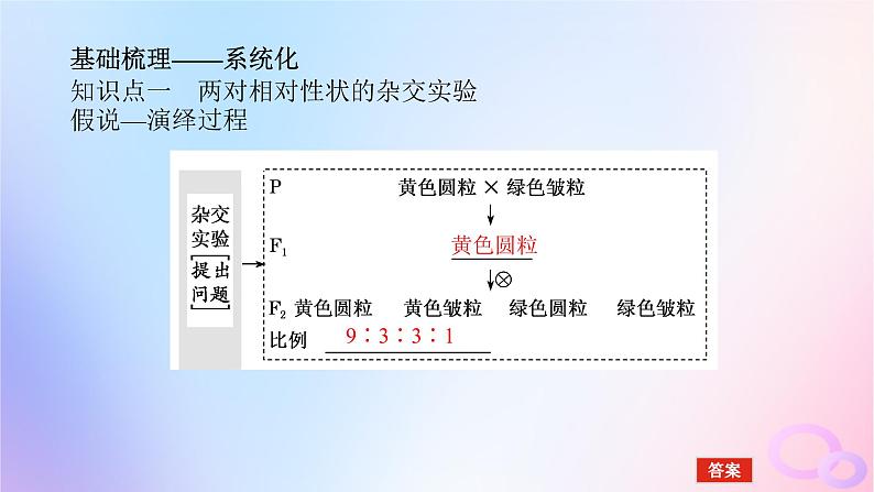 2024版新教材高考生物全程一轮总复习第五单元遗传的基本规律课堂互动探究案2孟德尔的豌豆杂交实验二课件05