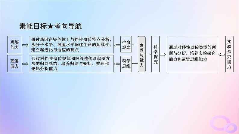 2024版新教材高考生物全程一轮总复习第五单元遗传的基本规律课堂互动探究案3基因在染色体上伴性遗传课件04
