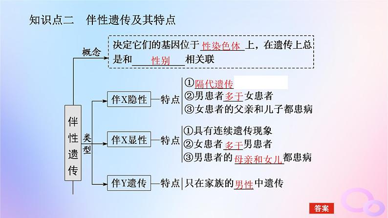 2024版新教材高考生物全程一轮总复习第五单元遗传的基本规律课堂互动探究案3基因在染色体上伴性遗传课件06