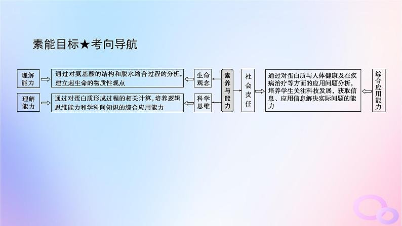 2024版新教材高考生物全程一轮总复习第一单元走近细胞及组成细胞的分子课堂互动探究案3蛋白质是生命活动的主要承担者课件第4页