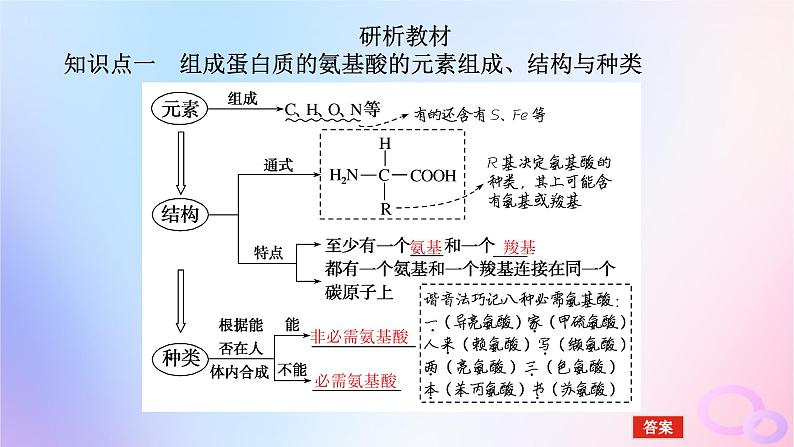 2024版新教材高考生物全程一轮总复习第一单元走近细胞及组成细胞的分子课堂互动探究案3蛋白质是生命活动的主要承担者课件第5页