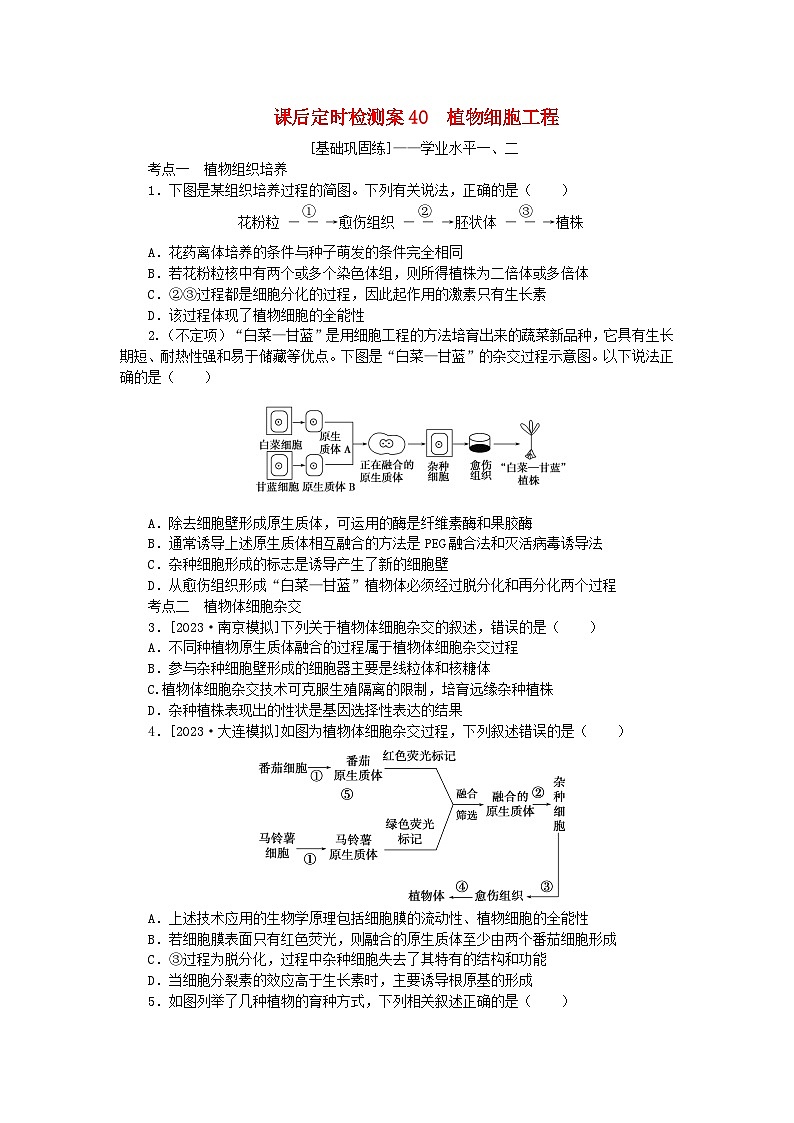 2024版新教材高考生物全程一轮总复习课后定时检测案40植物细胞工程01
