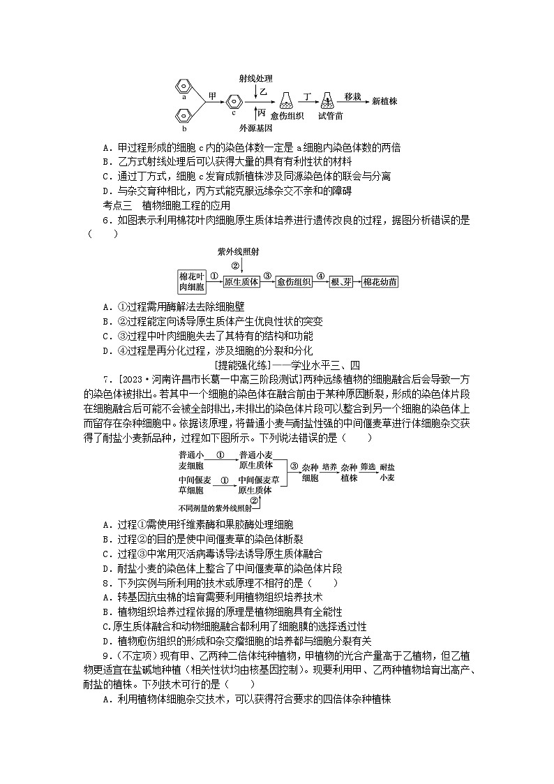 2024版新教材高考生物全程一轮总复习课后定时检测案40植物细胞工程02