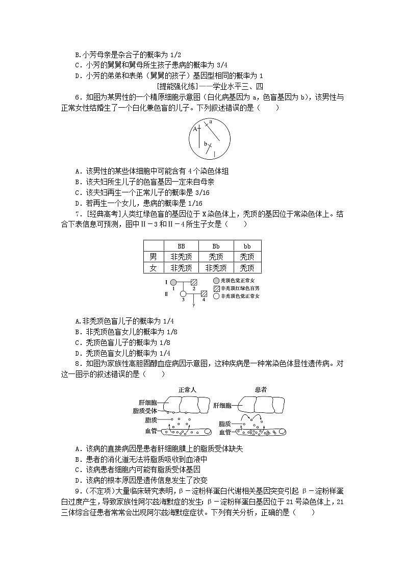 2024版新教材高考生物全程一轮总复习课后定时检测案25人类遗传病第2页