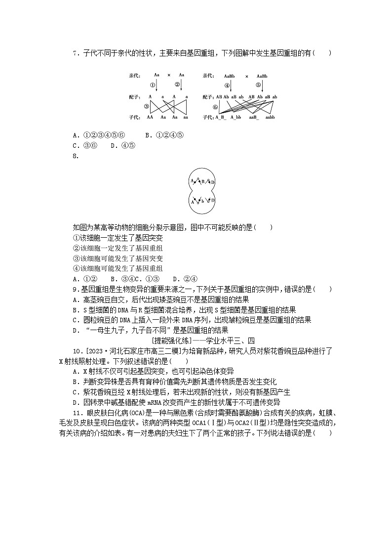 2024版新教材高考生物全程一轮总复习课后定时检测案23基因突变与基因重组第2页
