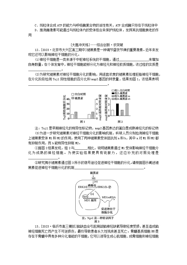 2024版新教材高考生物全程一轮总复习课后定时检测案15细胞的分化衰老和死亡第3页