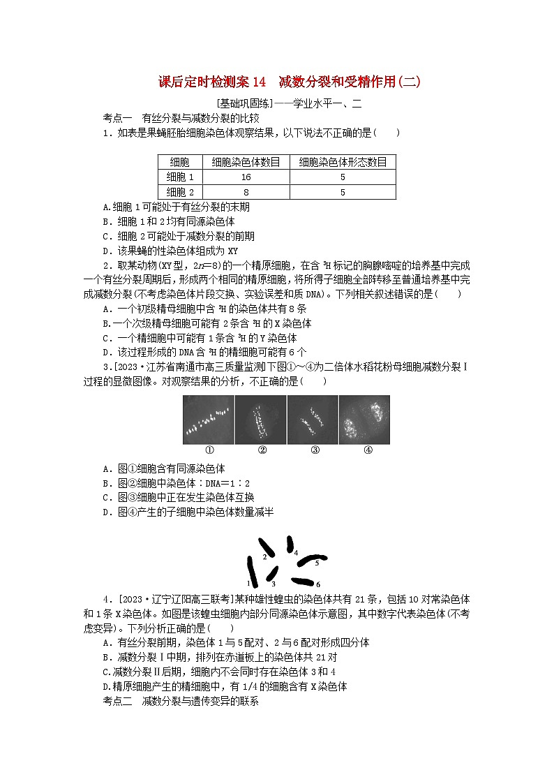 2024版新教材高考生物全程一轮总复习课后定时检测案14减数分裂和受精作用二第1页
