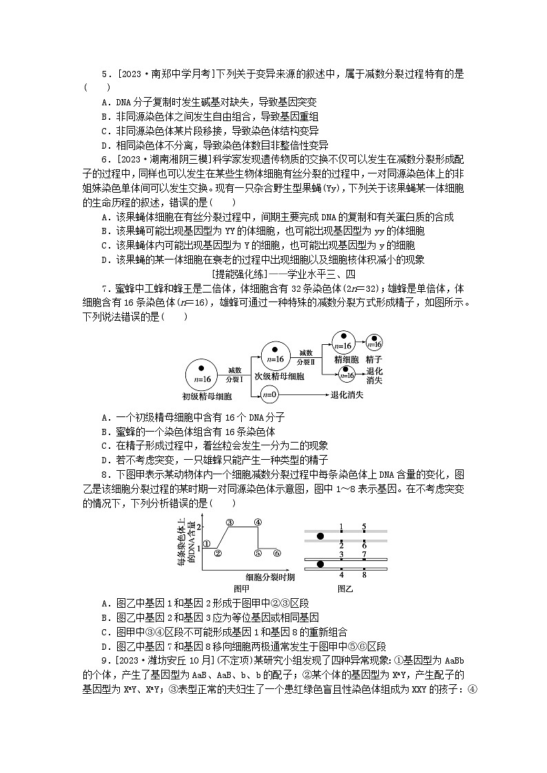 2024版新教材高考生物全程一轮总复习课后定时检测案14减数分裂和受精作用二第2页