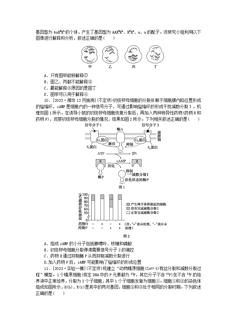 2024版新教材高考生物全程一轮总复习课后定时检测案14减数分裂和受精作用二第3页