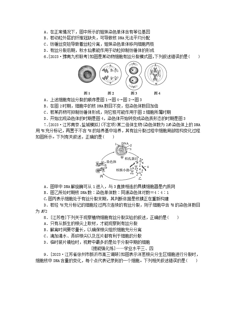2024版新教材高考生物全程一轮总复习课后定时检测案12细胞周期和细胞的有丝分裂第2页