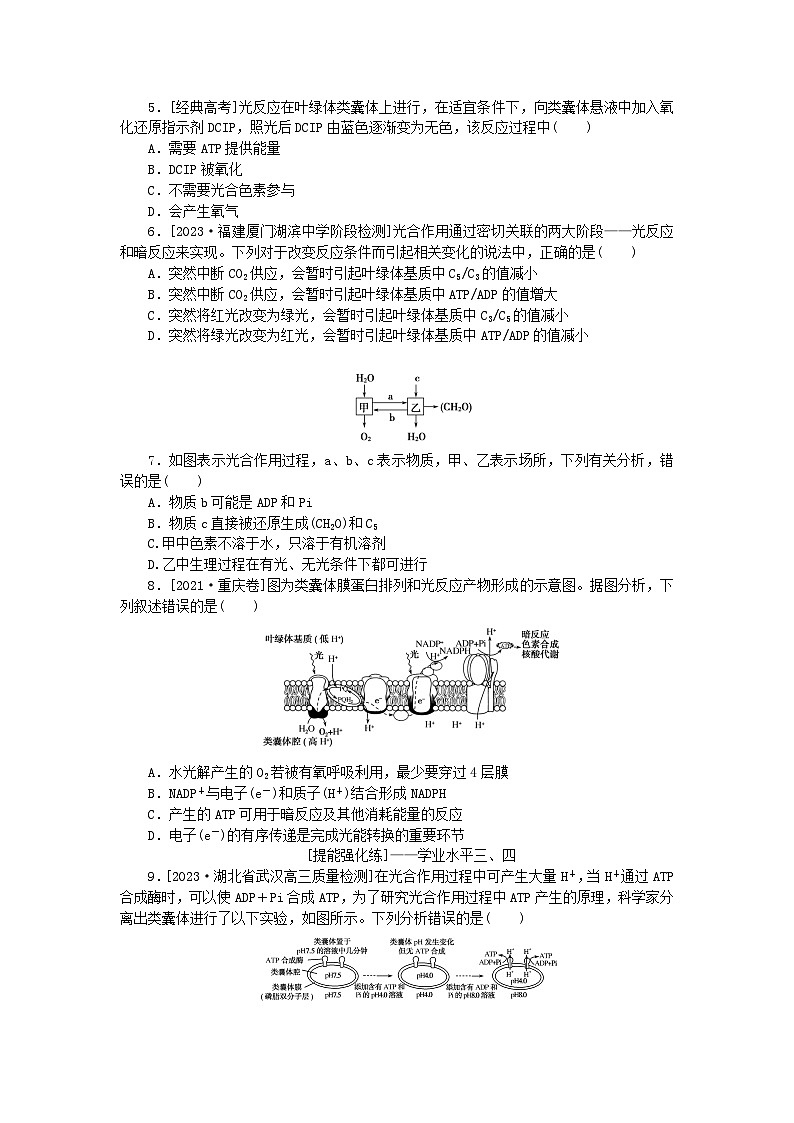 2024版新教材高考生物全程一轮总复习课后定时检测案10光合作用一02