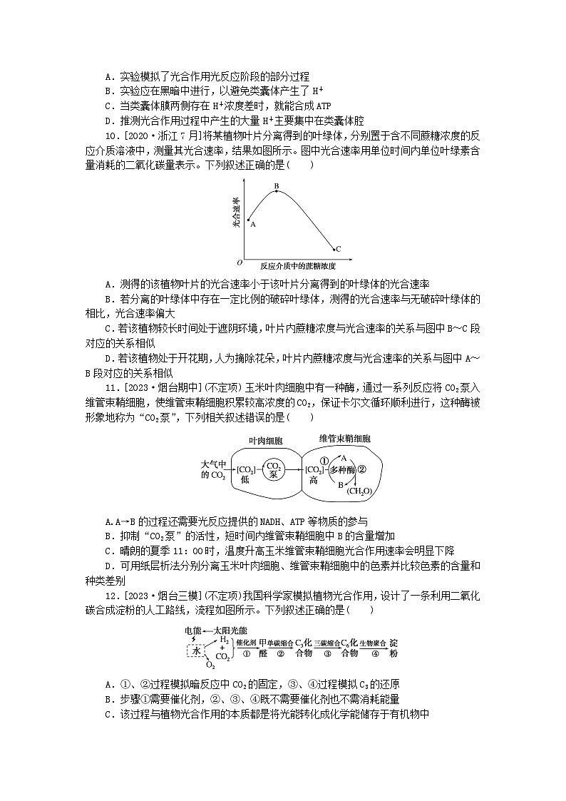 2024版新教材高考生物全程一轮总复习课后定时检测案10光合作用一03