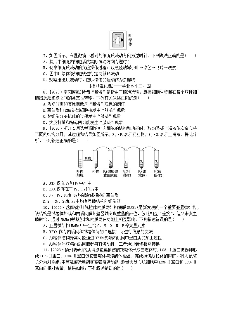 2024版新教材高考生物全程一轮总复习课后定时检测案6细胞器之间的分工合作第2页