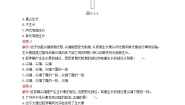 生物北师大版 (2019)第一节 植物生长素的发现与作用课后测评