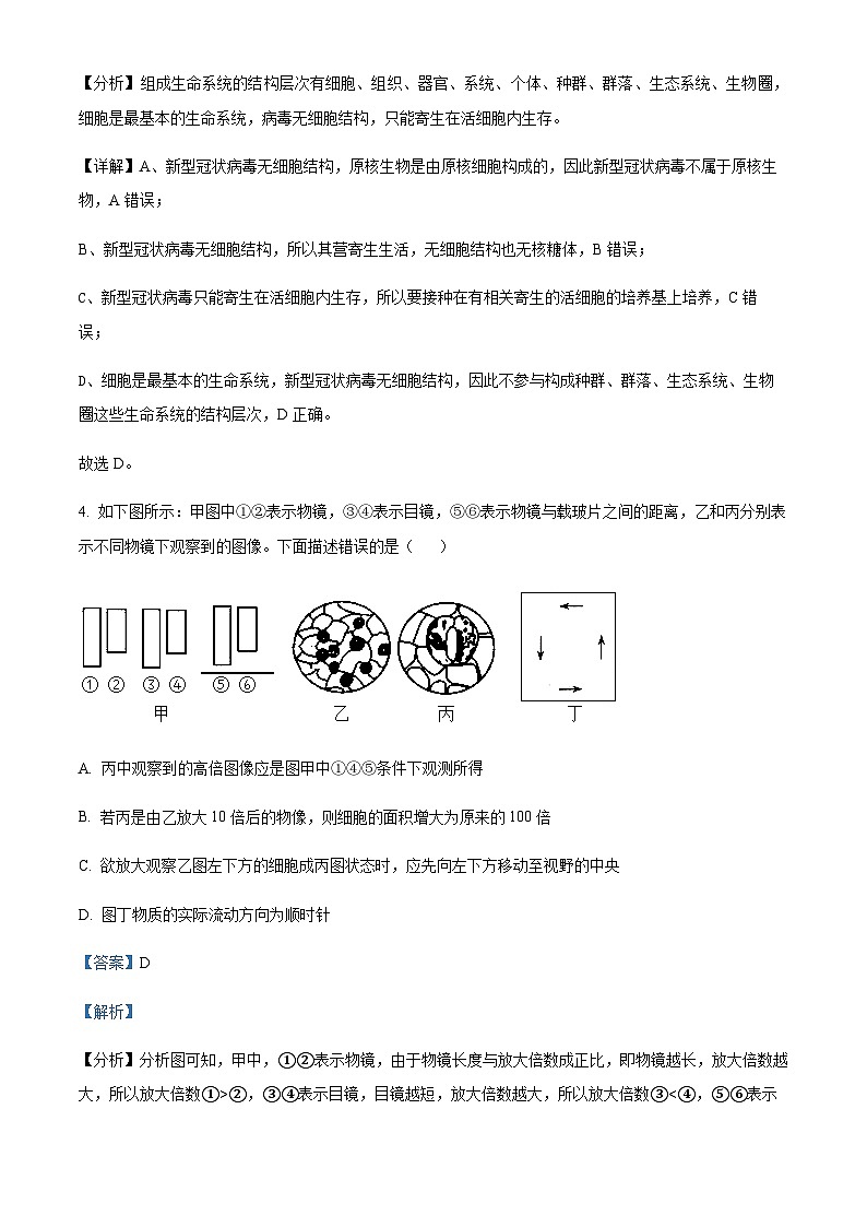 2022-2023学年四川省凉山州民族中学高一上学期第一次月考生物试题含答案03