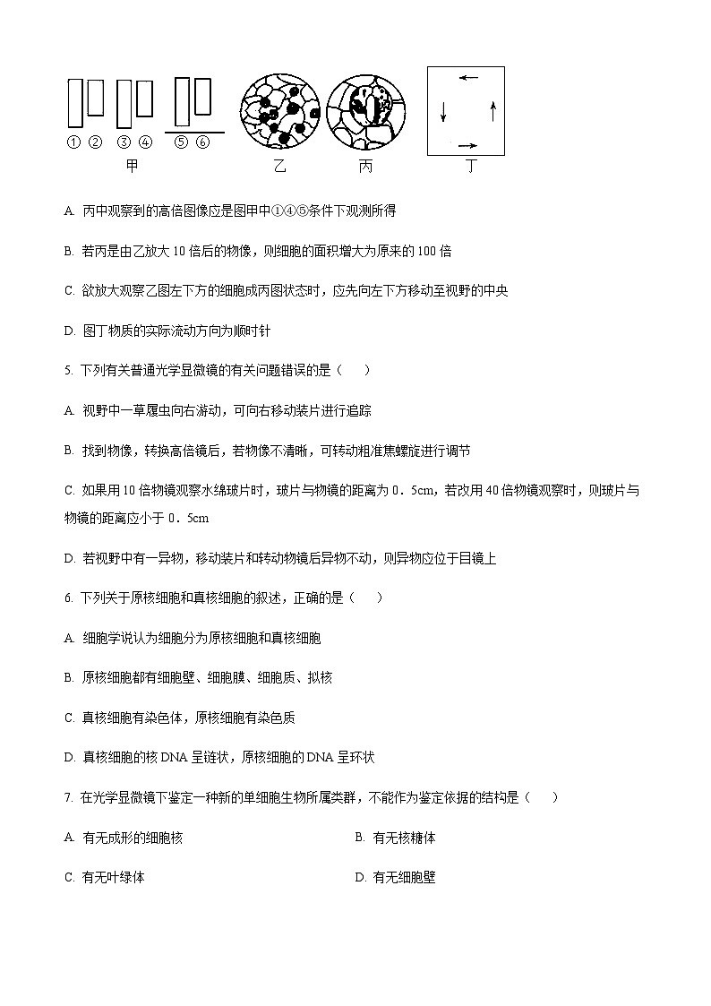 2022-2023学年四川省凉山州民族中学高一上学期第一次月考生物试题含答案02