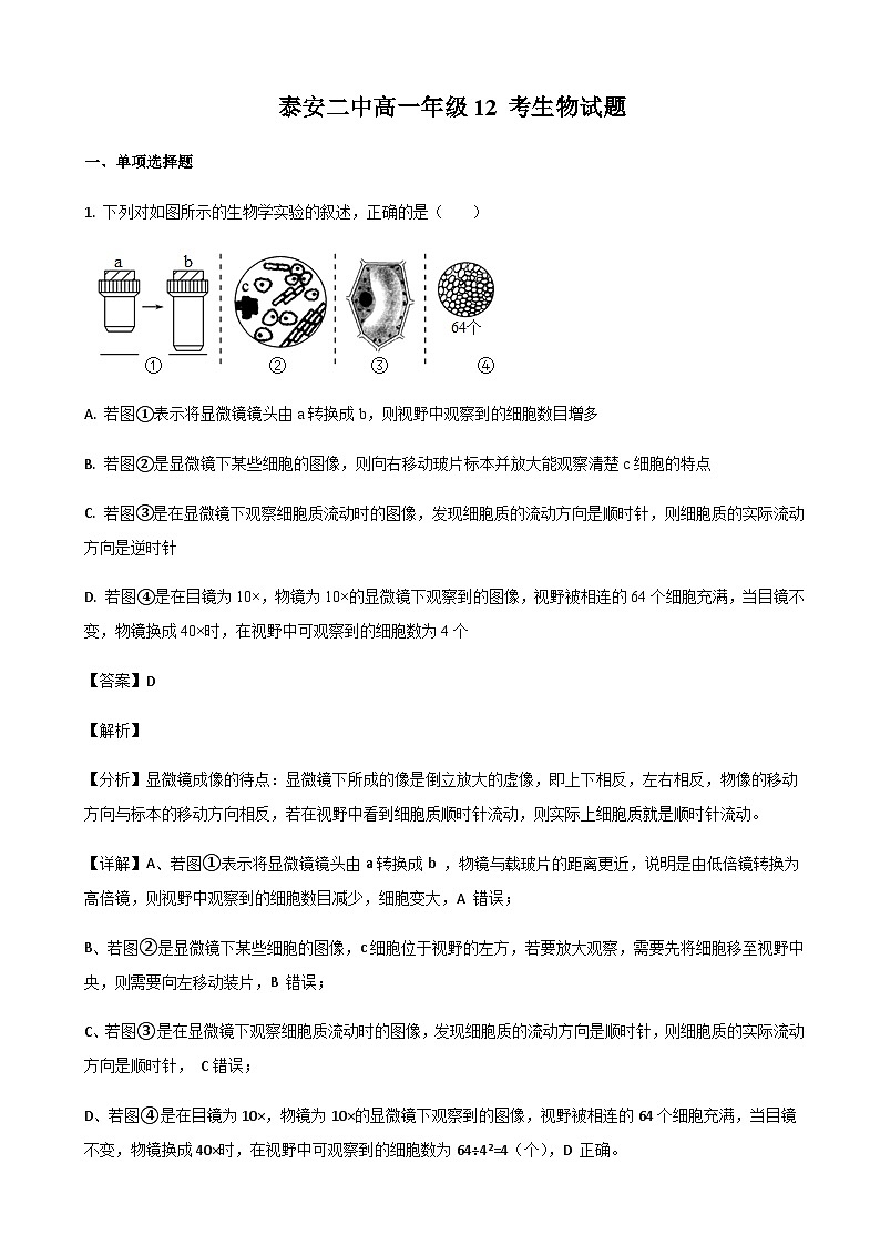 2022-2023学年山东省泰安市第二中学高一上学期12月月考生物试题含答案01