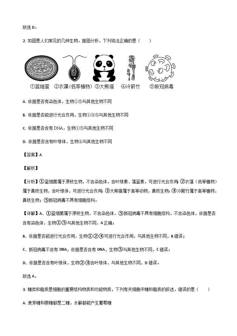 2022-2023学年山东省泰安市第二中学高一上学期12月月考生物试题含答案02
