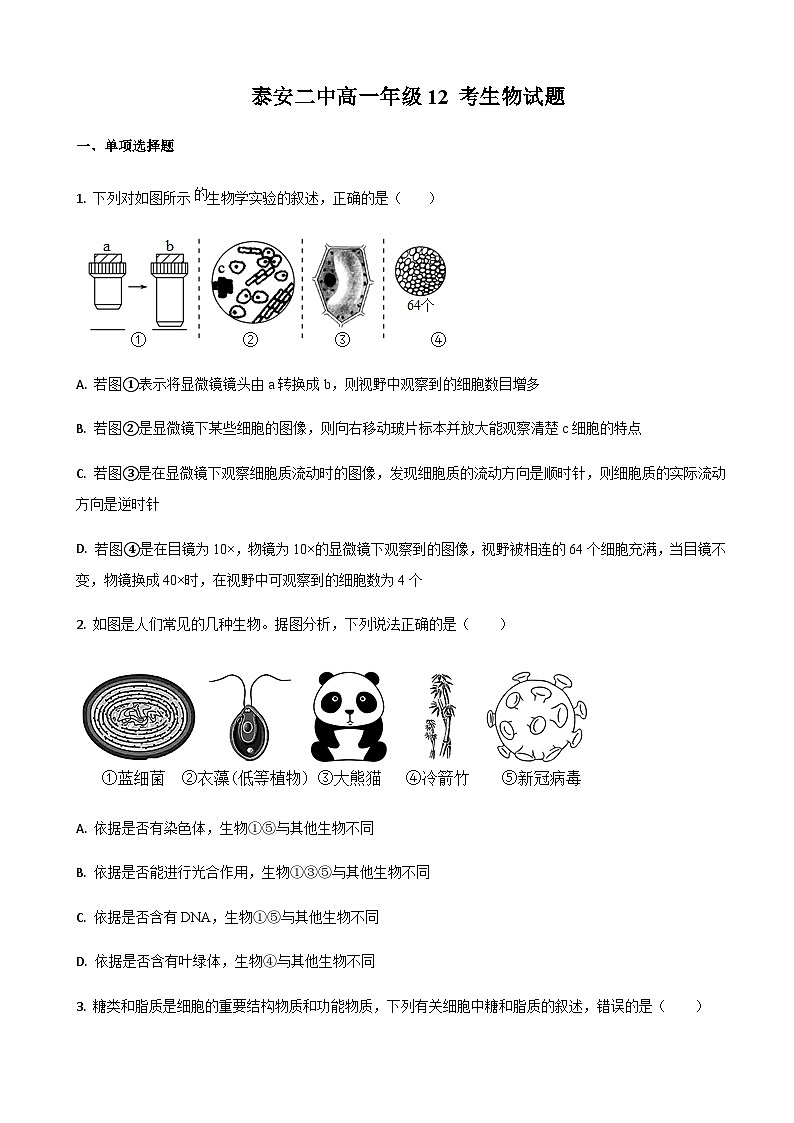 2022-2023学年山东省泰安市第二中学高一上学期12月月考生物试题含答案01