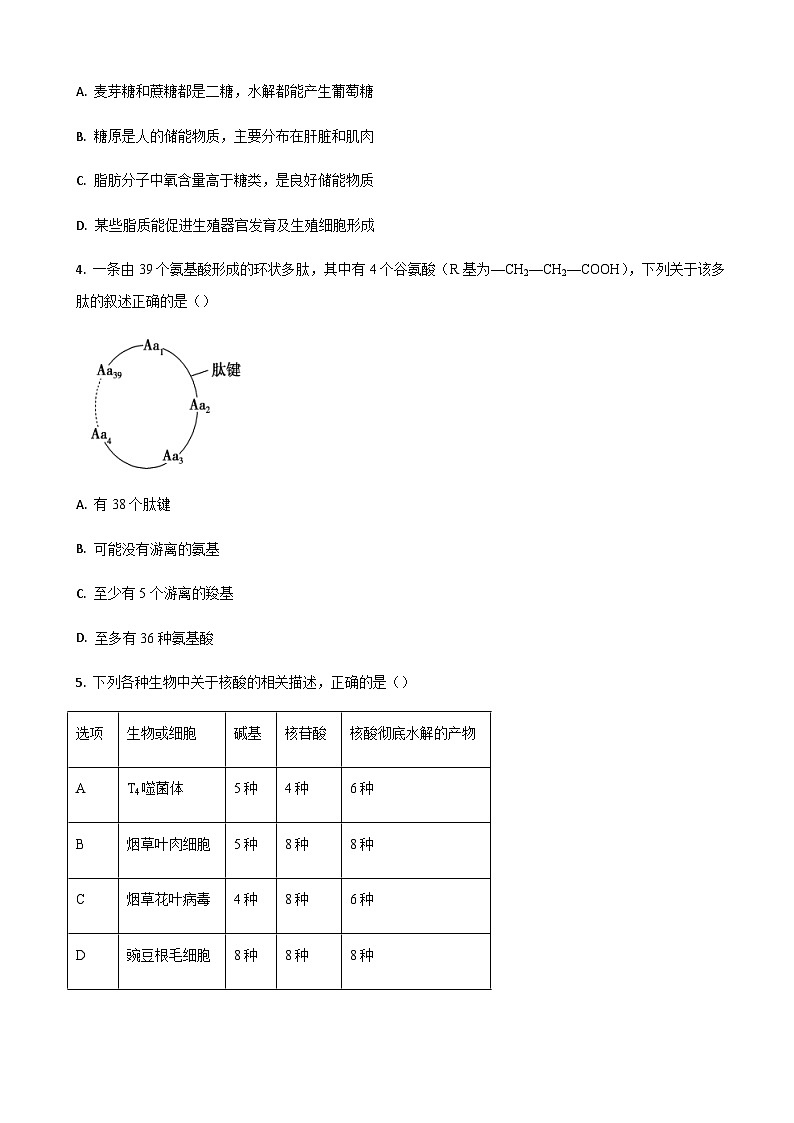 2022-2023学年山东省泰安市第二中学高一上学期12月月考生物试题含答案02