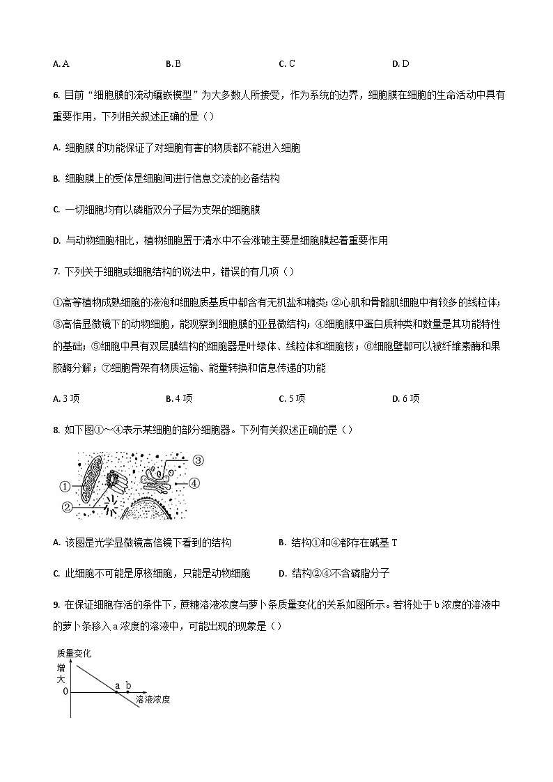 2022-2023学年山东省泰安市第二中学高一上学期12月月考生物试题含答案03