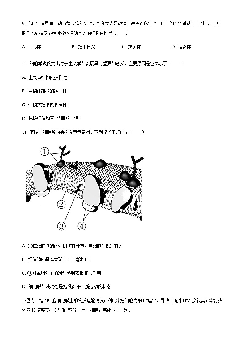 2022-2023学年浙江省湖州市高一上学期期末生物试题含答案03