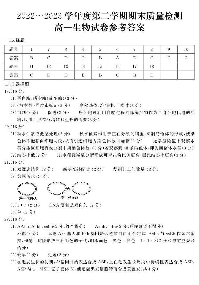 高一生物答案第1页