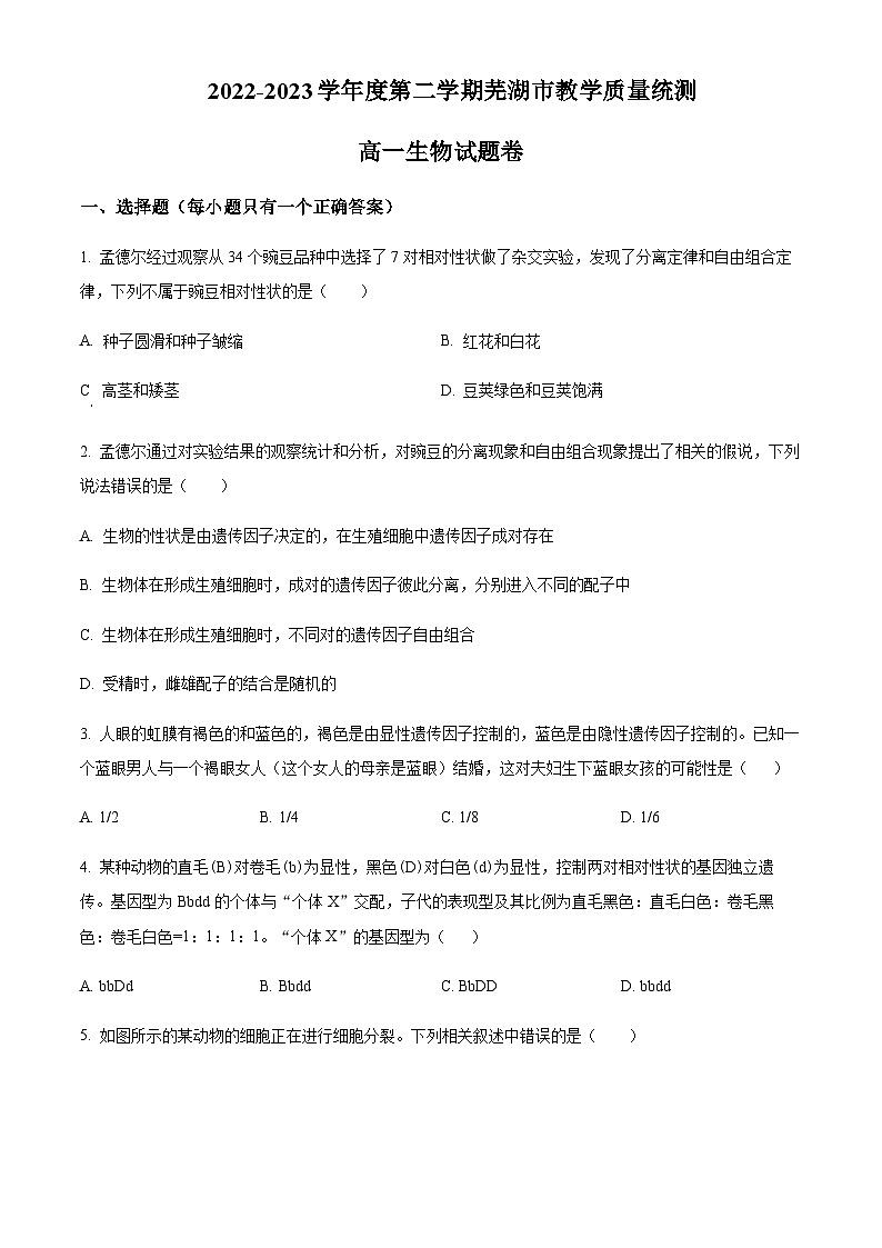 2022-2023学年安徽省芜湖市第一中学高一下学期期末生物试题 Word版无答案第1页