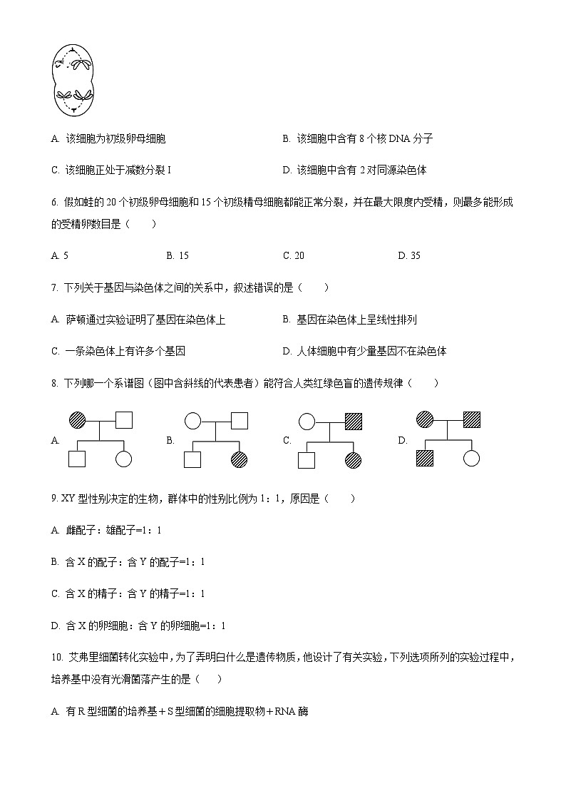 2022-2023学年安徽省芜湖市第一中学高一下学期期末生物试题 Word版无答案第2页