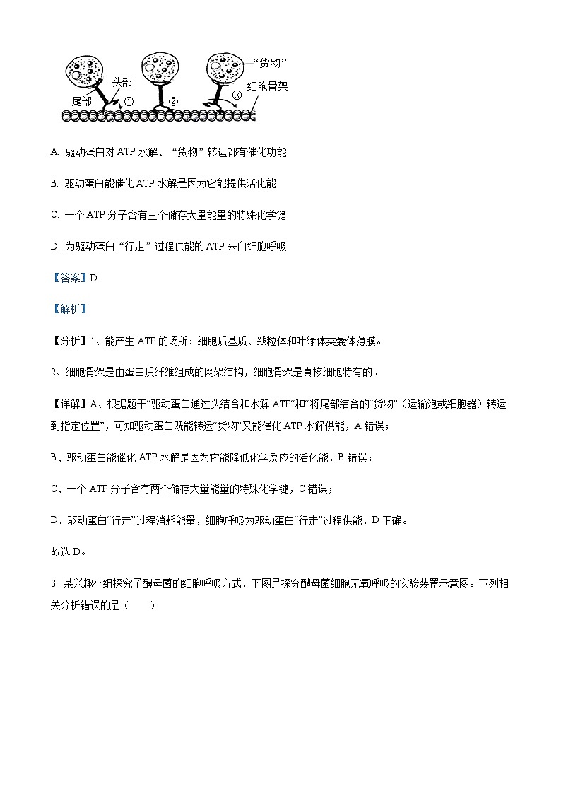 2022-2023学年湖北十堰市高一下学期期末调研考试生物试题含答案第2页