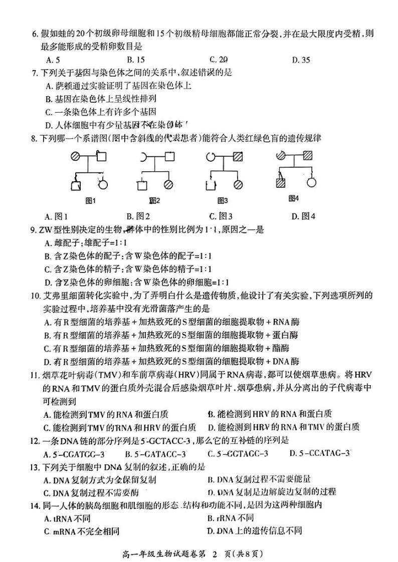 2022-2023学年安徽省芜湖市高一下学期期末考试生物试题PDF版含答案02