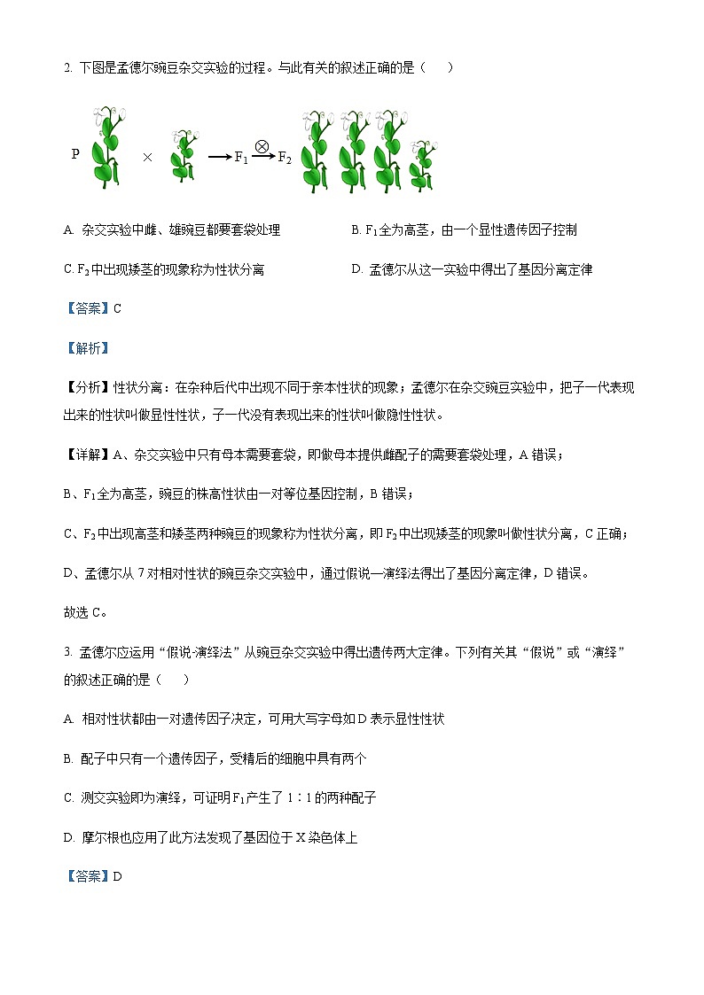 2022-2023学年江苏省淮阴中学淮宿七校高一下学期第三次联考生物试题 Word版含解析第2页
