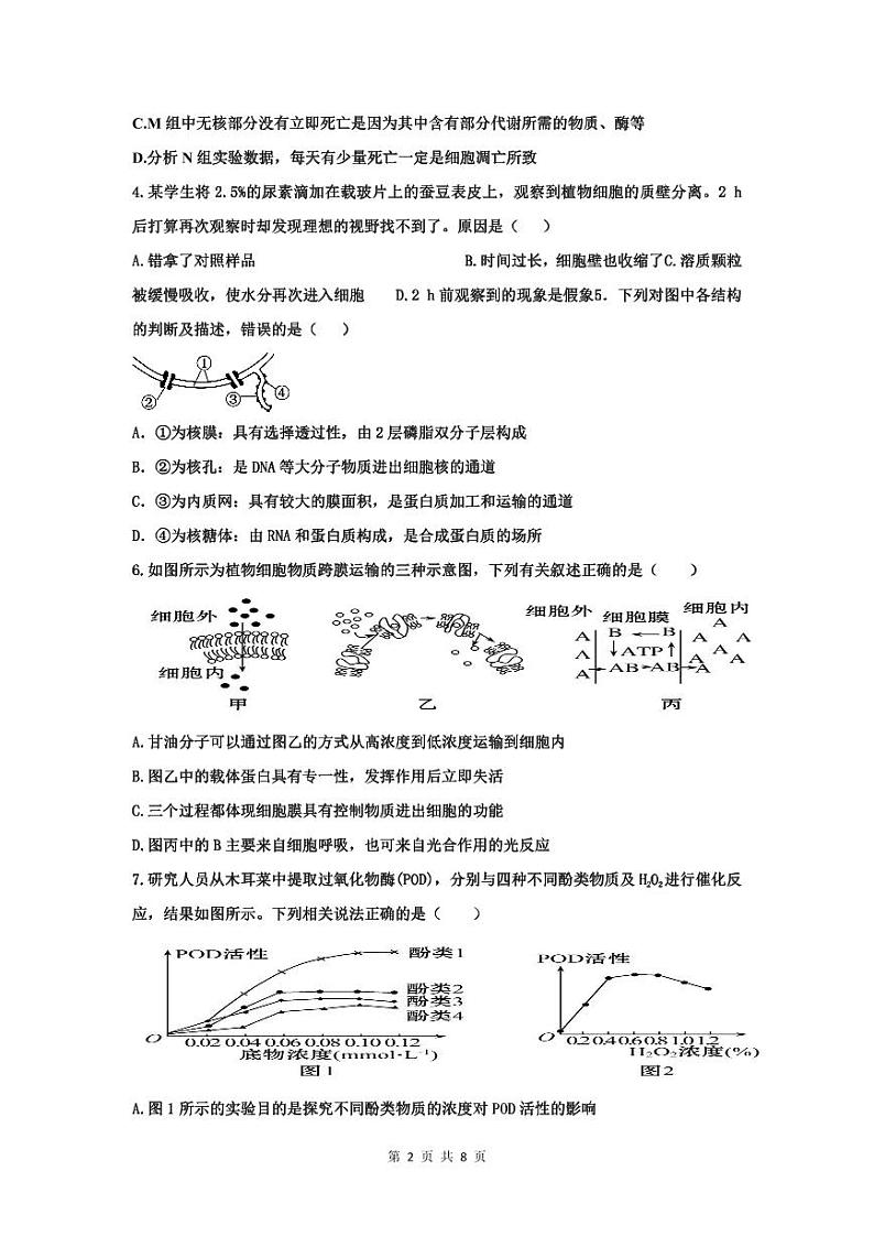 2023-2024学年江西省丰城中学高三上学期开学考试生物PDF版含答案02