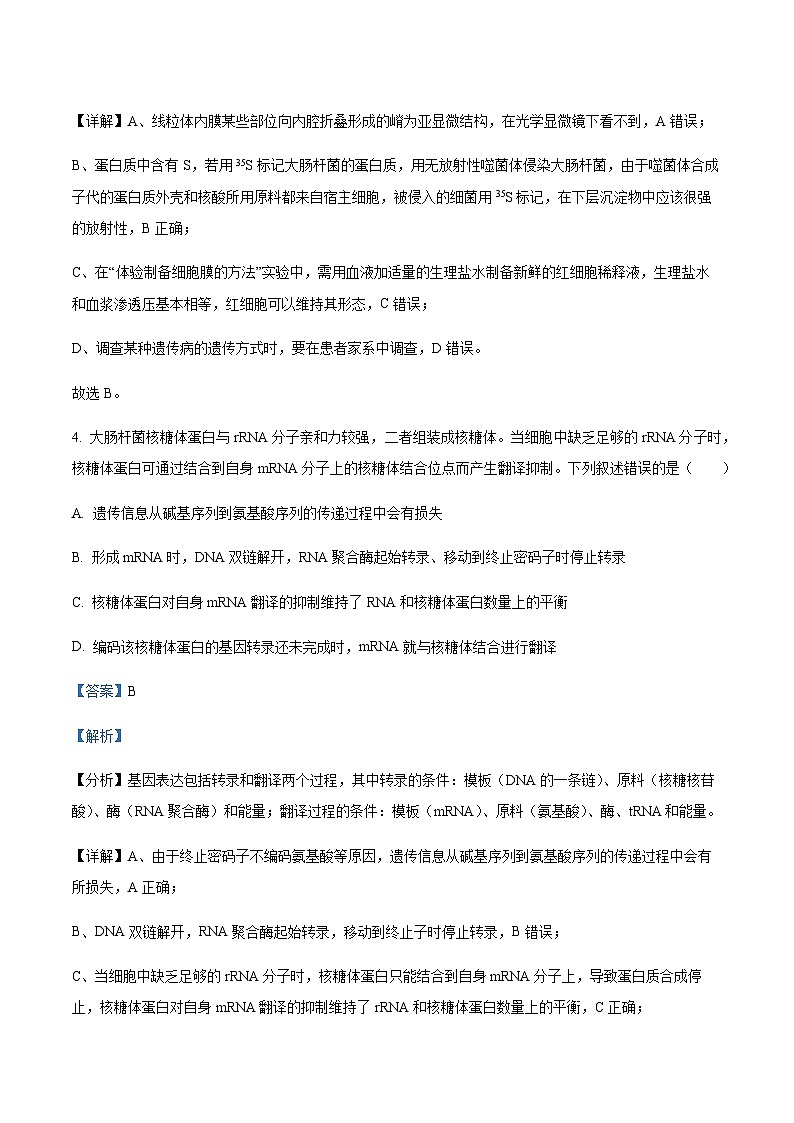 2022-2023学年四川省树德中学高三上学期11月阶段性测试理综生物试题Word版含解析第3页