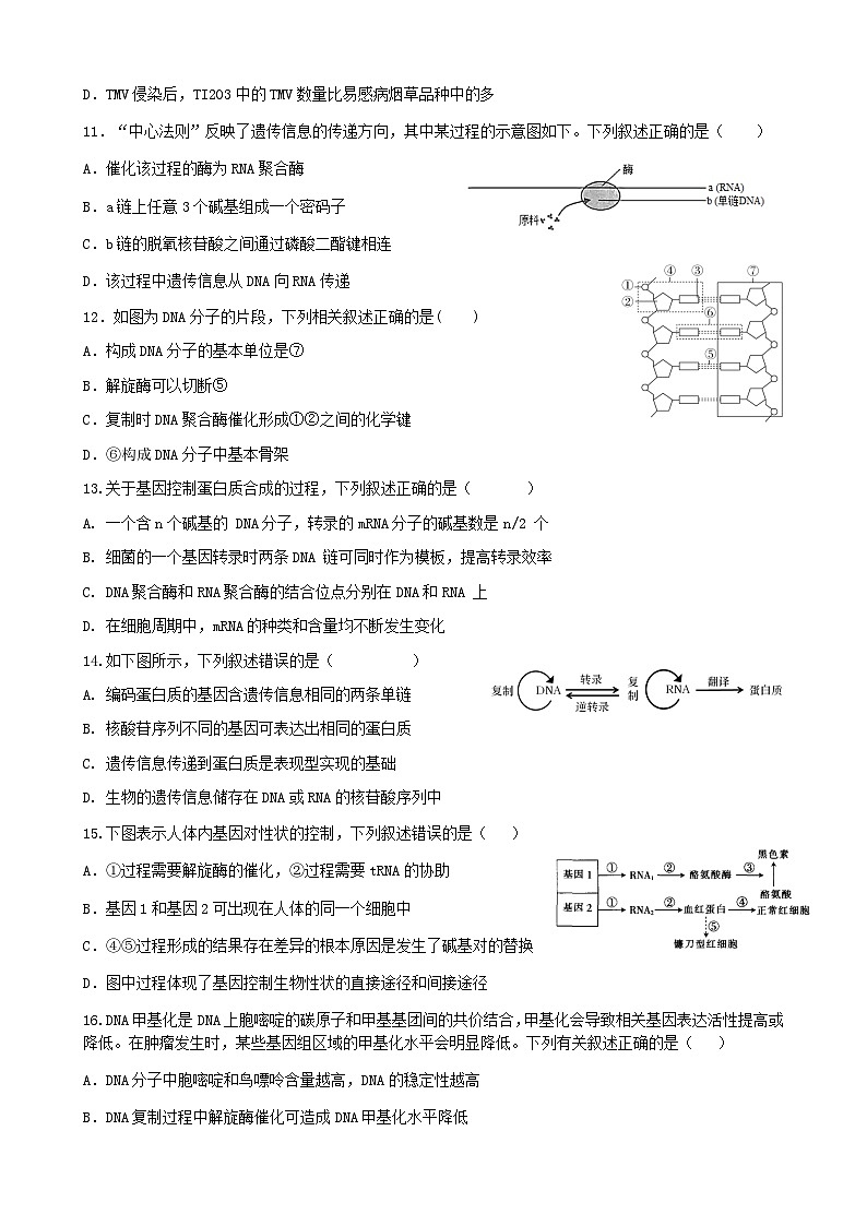 2022-2023学年四川省成都市石室中学高三上学期周练生物5含答案第3页