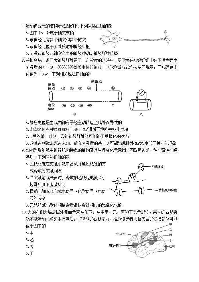 浙江省嘉兴市八校联盟2022-2023学年高二上学期期中联考生物试题第2页