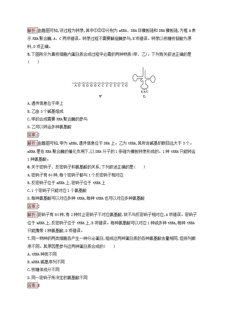 新教材适用2023年高中生物第4章基因的表达第1节基因指导蛋白质的合成课后习题新人教版必修2第2页