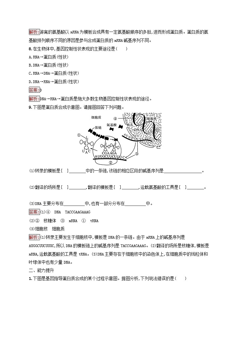 新教材适用2023年高中生物第4章基因的表达第1节基因指导蛋白质的合成课后习题新人教版必修2第3页