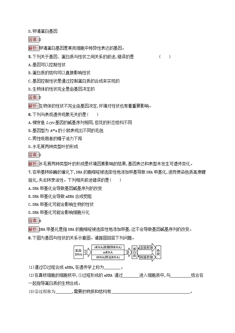 新教材适用2023年高中生物第4章基因的表达第2节基因表达与性状的关系课后习题新人教版必修202