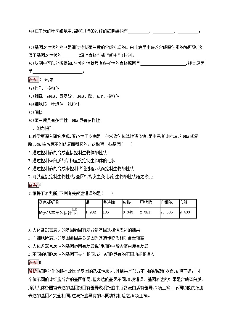 新教材适用2023年高中生物第4章基因的表达第2节基因表达与性状的关系课后习题新人教版必修203