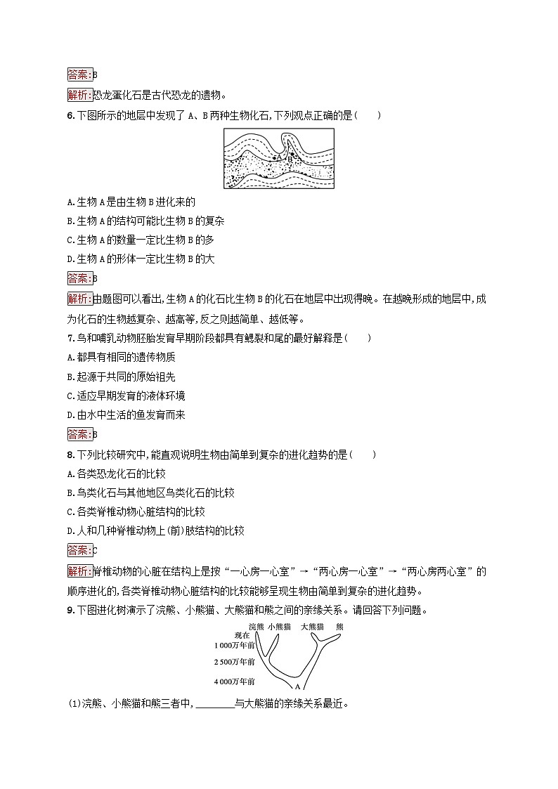 新教材适用2023年高中生物第6章生物的进化第1节生物有共同祖先的证据课后习题新人教版必修202