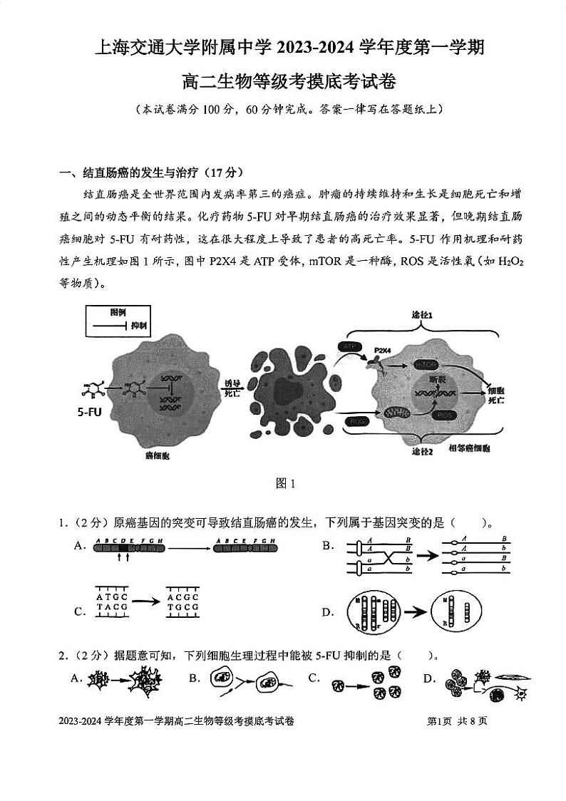 上海市某校2023-2024学年高二上学期摸底考试生物试题第1页