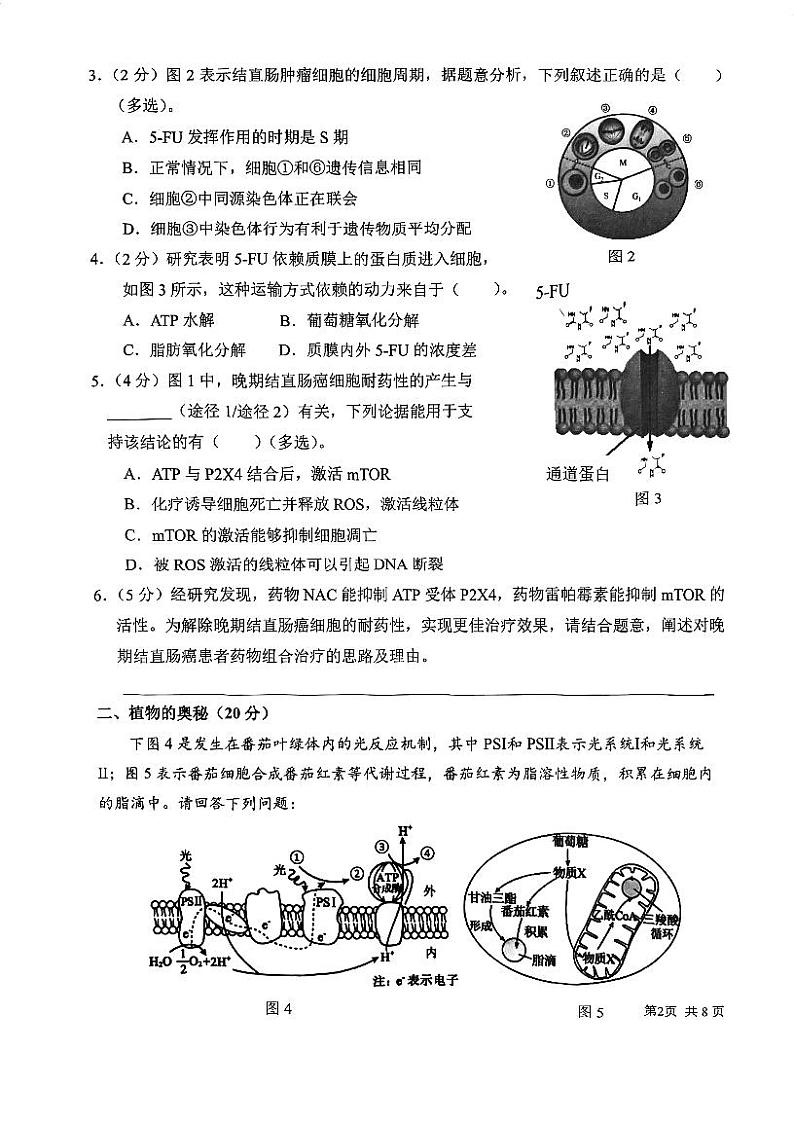上海市某校2023-2024学年高二上学期摸底考试生物试题第2页