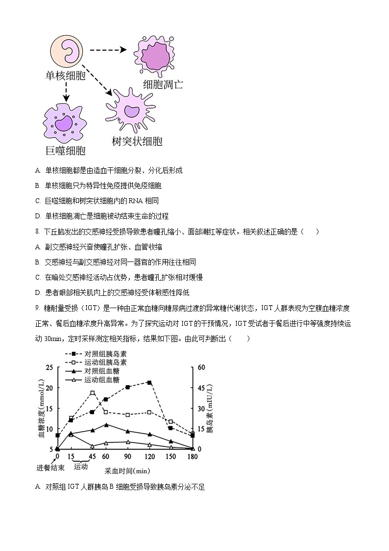 2024江苏省海安高级中学高二上学期第一次考试生物试题含解析03