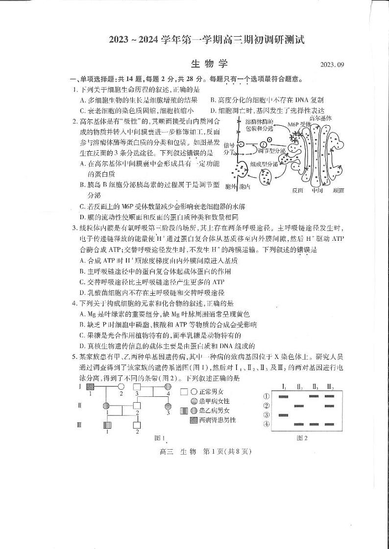 江苏省苏州市2023-2024高三上学期期初调研考试生物试卷第1页