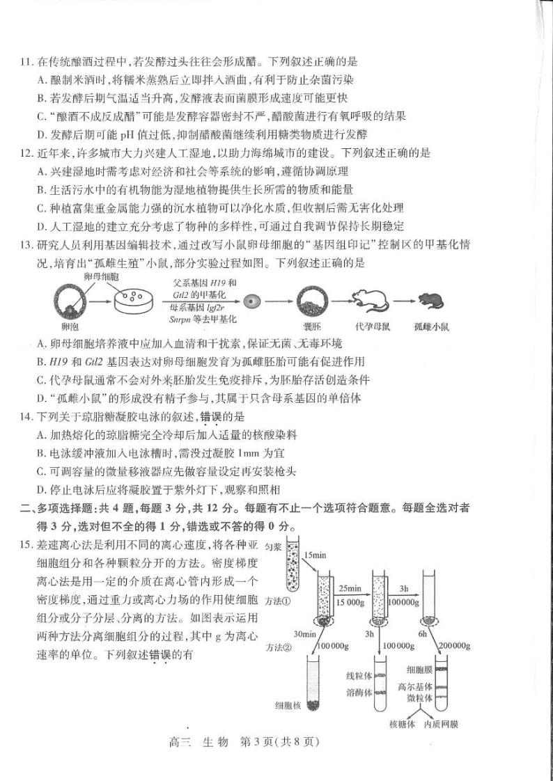 江苏省苏州市2023-2024高三上学期期初调研考试生物试卷03