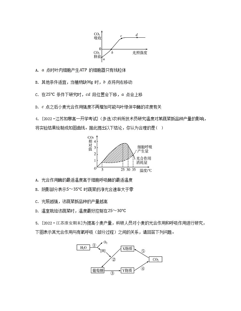 江蘇專版2023_2024學(xué)年新教材高中生物第三章細胞中能量的轉(zhuǎn)換和利用微專題三光合作用與細胞呼吸的關(guān)系曲線模型及相關(guān)實驗設(shè)計分層作業(yè)蘇教版必修1第2頁