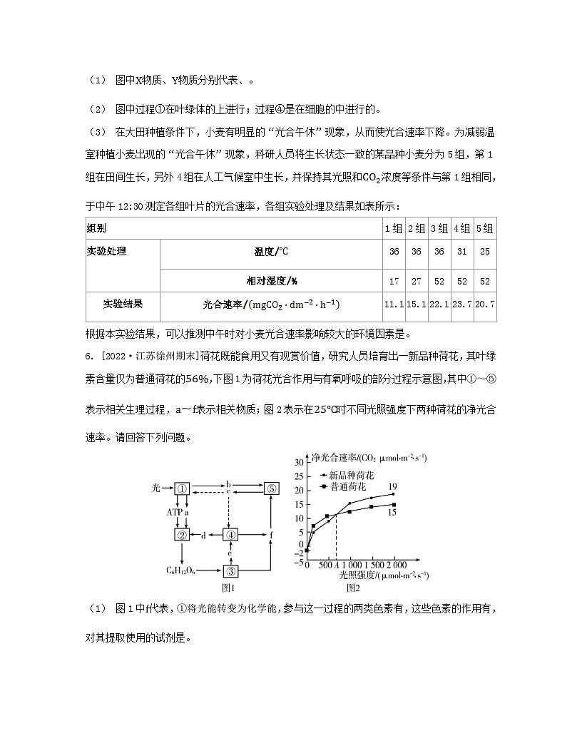 江蘇專版2023_2024學(xué)年新教材高中生物第三章細胞中能量的轉(zhuǎn)換和利用微專題三光合作用與細胞呼吸的關(guān)系曲線模型及相關(guān)實驗設(shè)計分層作業(yè)蘇教版必修1第3頁