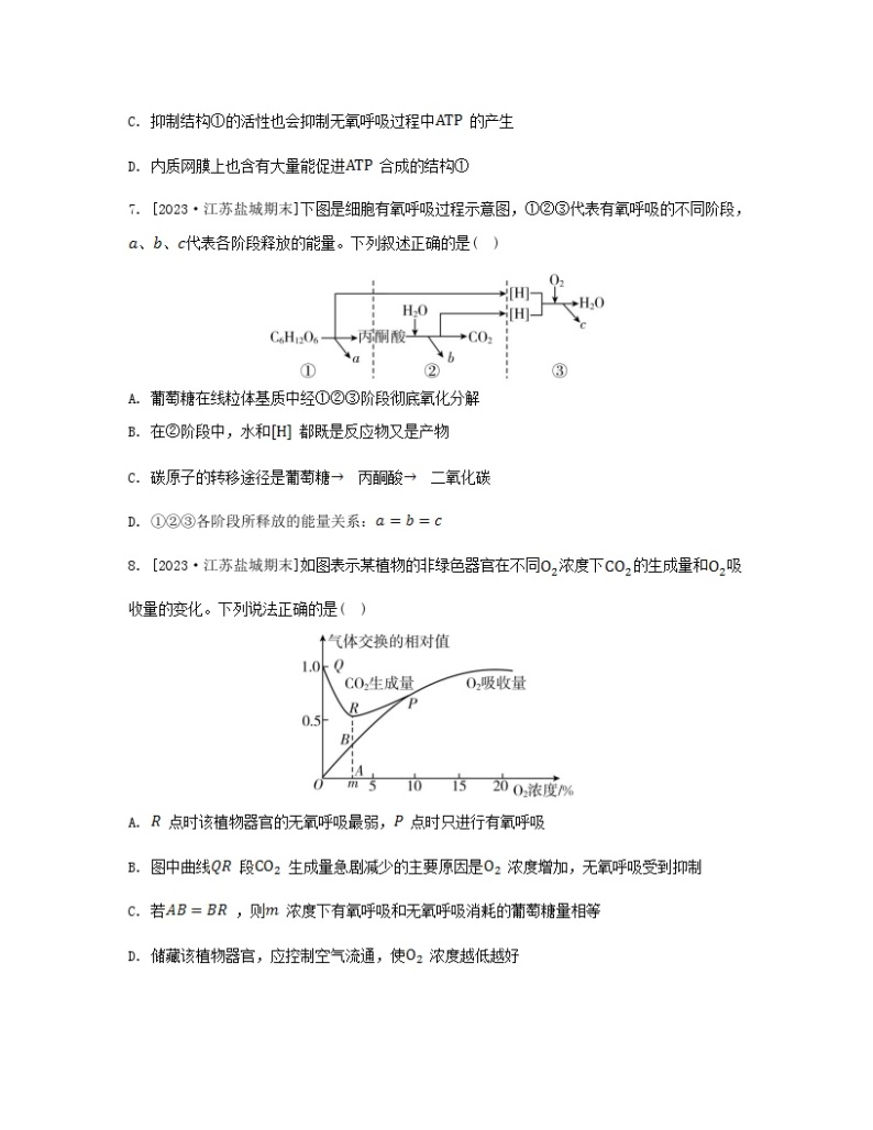 江苏专版2023_2024学年新教材高中生物第三章细胞中能量的转换和利用第三节细胞呼吸__能量的转化和利用分层作业苏教版必修103